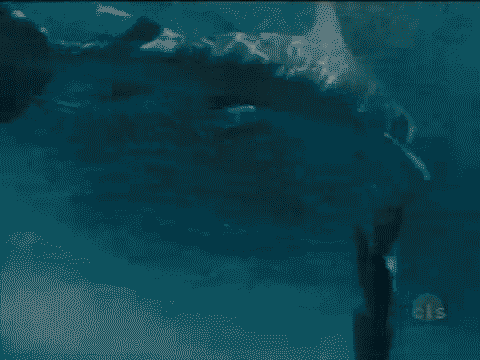 59CC7D7F-91D2-46D4-8E39-0BEAA7F7EFAC.gif