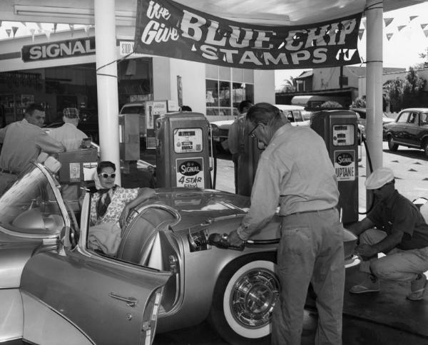 5cbe9c95-c3ee-4af8-ac14-1966.jpg
