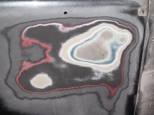 6-1-12a.JPG