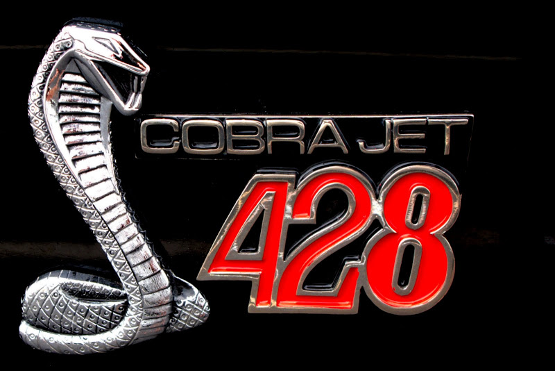 621BB816-288D-4FF9-B46A-81835CE435DD.jpeg