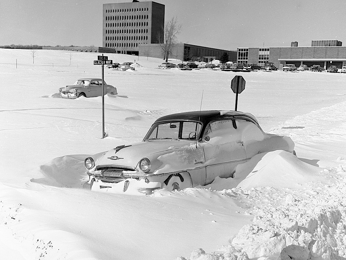 63 sno.png