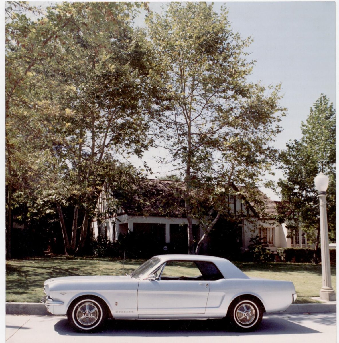 '65 GT Hi-Po Mustang Coupe.jpg