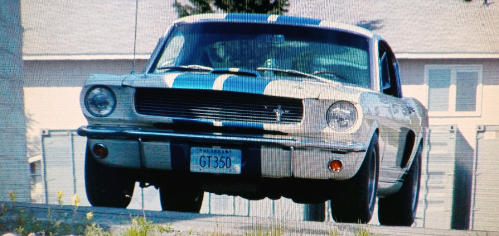 66Shelby2.jpg