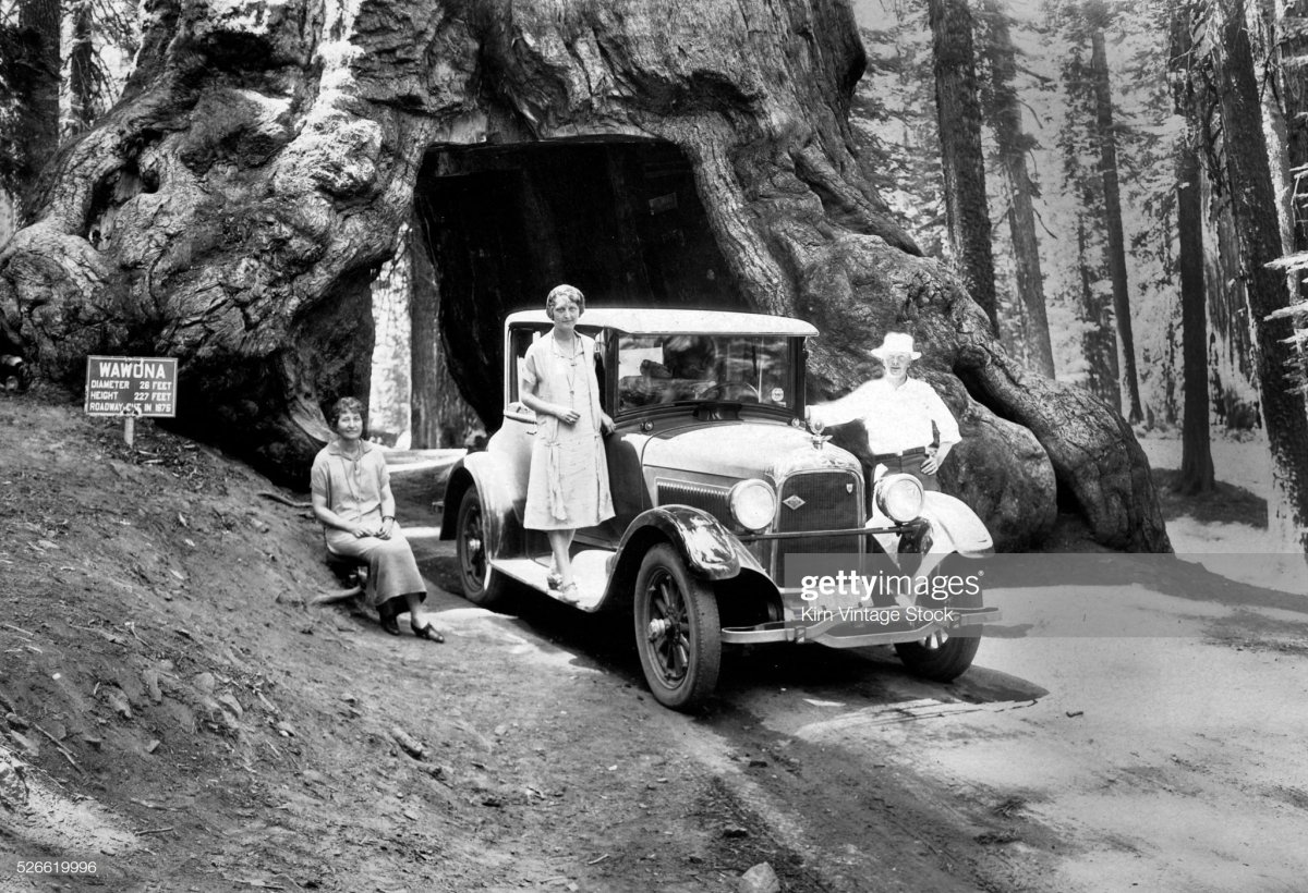 82 Family poses at the Wawona Tree in Yosemite, ca. 1926..jpg