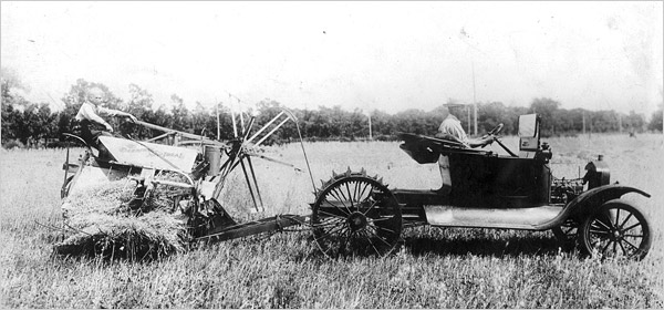 84166.jpg