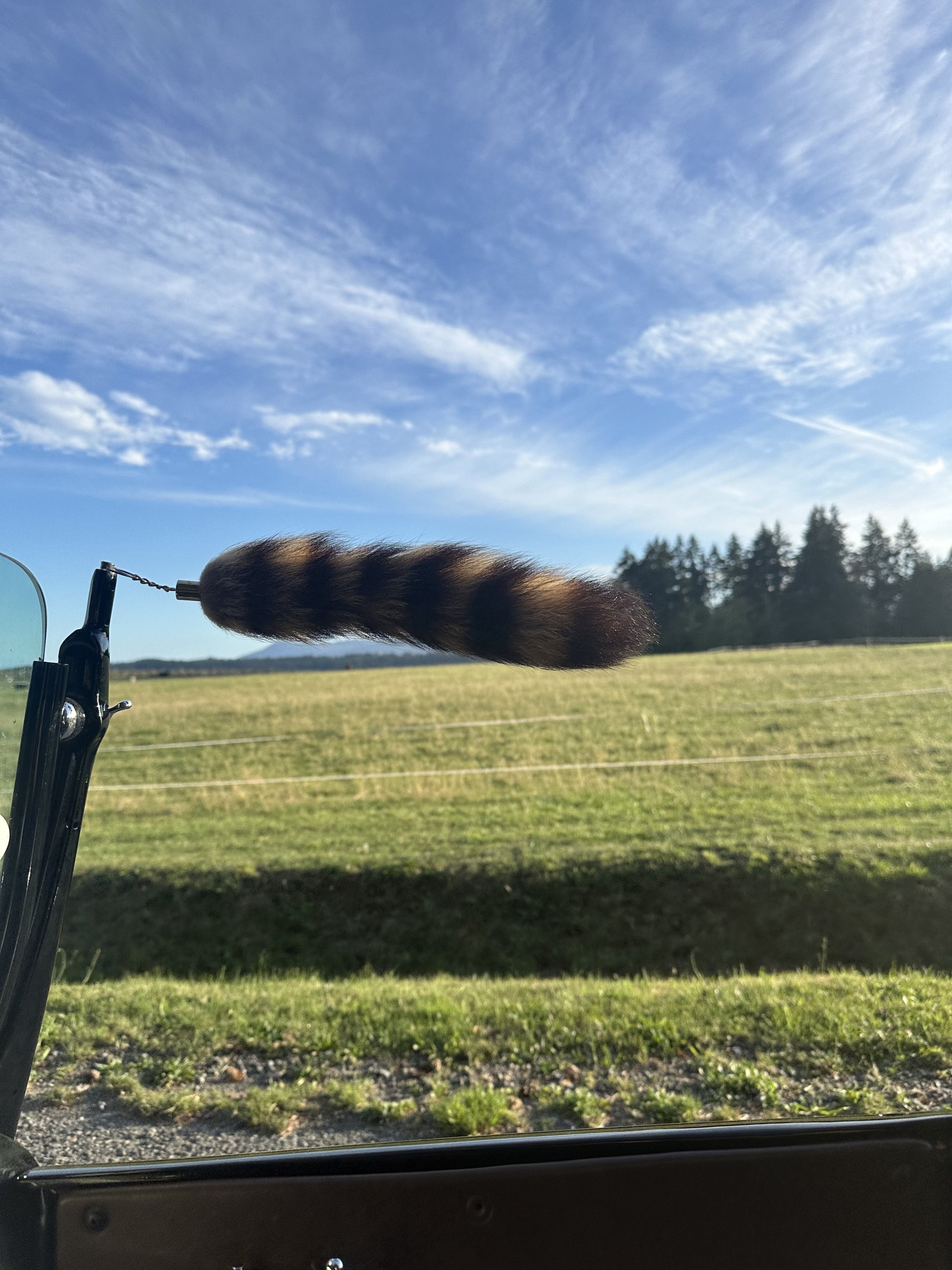 8725239B-4735-4D58-8948-95BF7D238D3D.jpeg