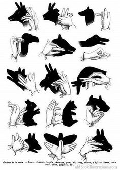 91cd4a2f1fb2b66e466195979b3c8cc8--hand-shadow-puppets-hand-puppets.jpg