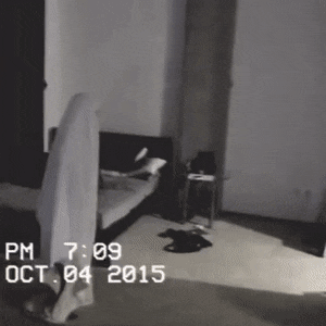 96CF09C1-361F-4068-81DB-81FA63F4FE43.gif