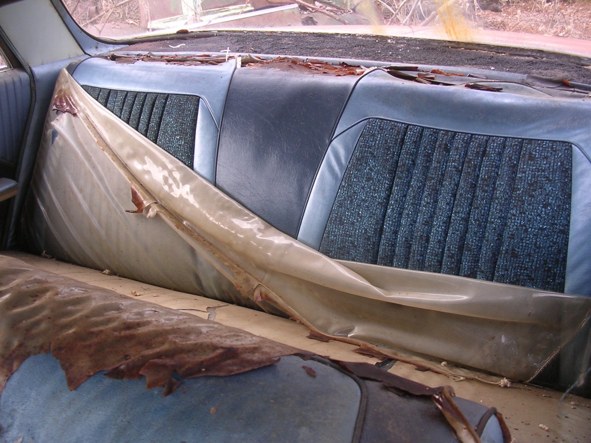____ 64 olds backseat.jpg