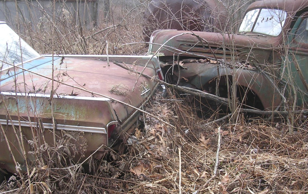 _____64 olds.jpg