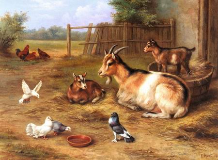 A Farmyard Scene with goats, chickens, doves.jpg