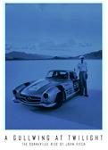 A GULLWING AT TWILIGHT.jpg