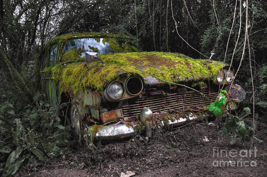 a-non-rolling-car-gathers-some-moss-rob-hawkins.jpeg