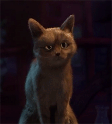 A9E020EC-9EB2-41AB-91F0-FEBF2433C35F.gif