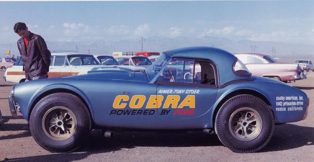 AimerTonySterDragonsnake68CobraAASP.jpg