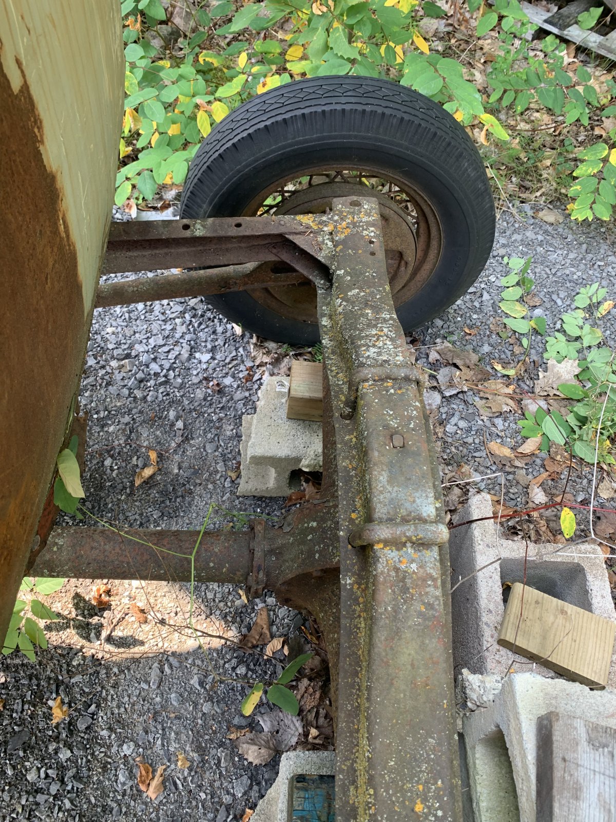 B746498D-F21A-4D24-ADE6-55C02EC8F534.jpeg