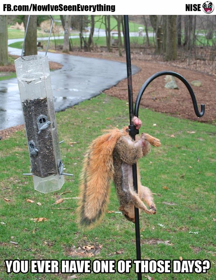 Bad day.jpg