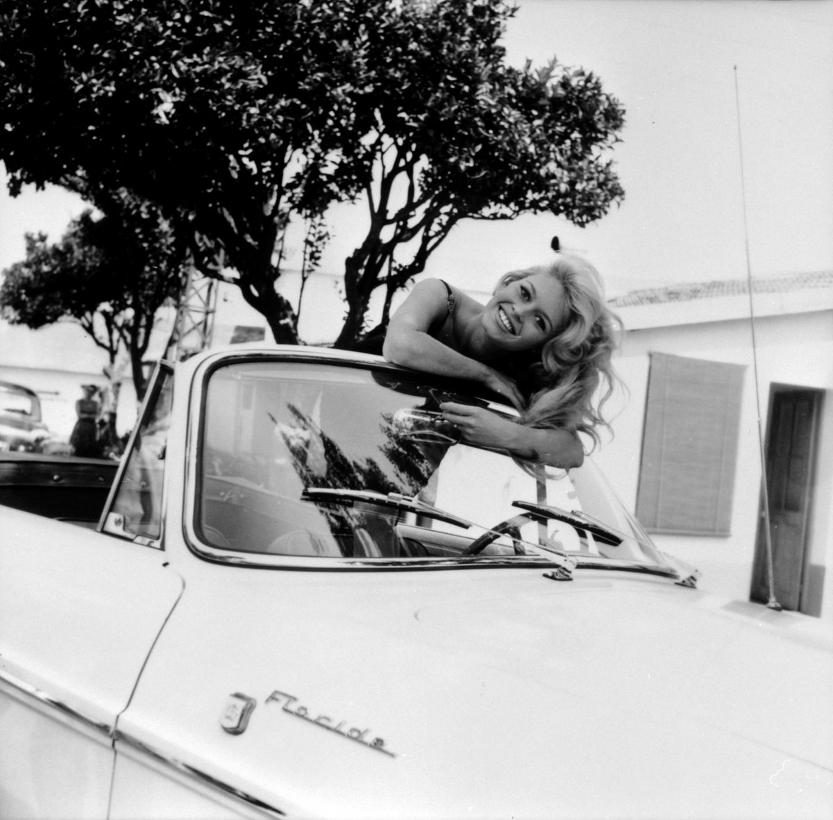 BB03.jpg