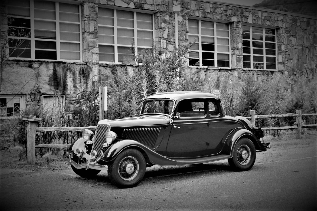 bee log 1 B&W.jpg