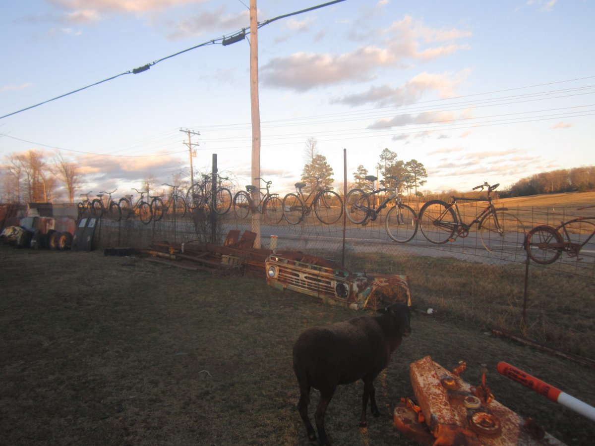 bikes on fence 003.JPG