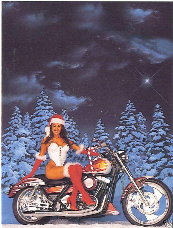 bikexmas.jpg.4f1d5f61bd7dee499b3114068f49f62e.jpg