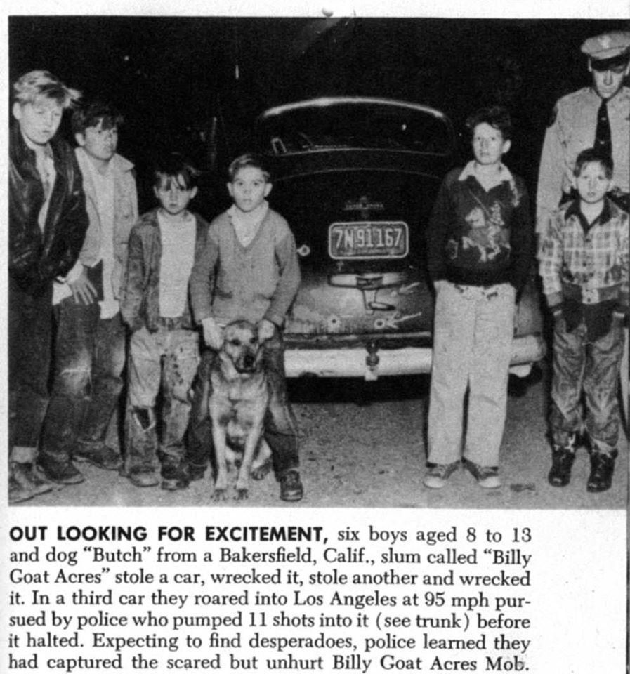 billy goat acres mob.jpg