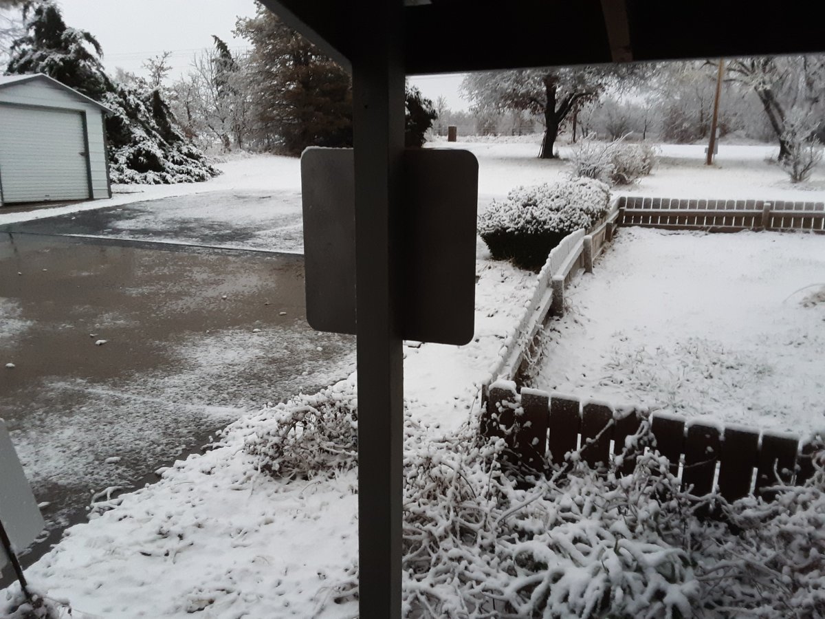 blizzard of 2021.jpg
