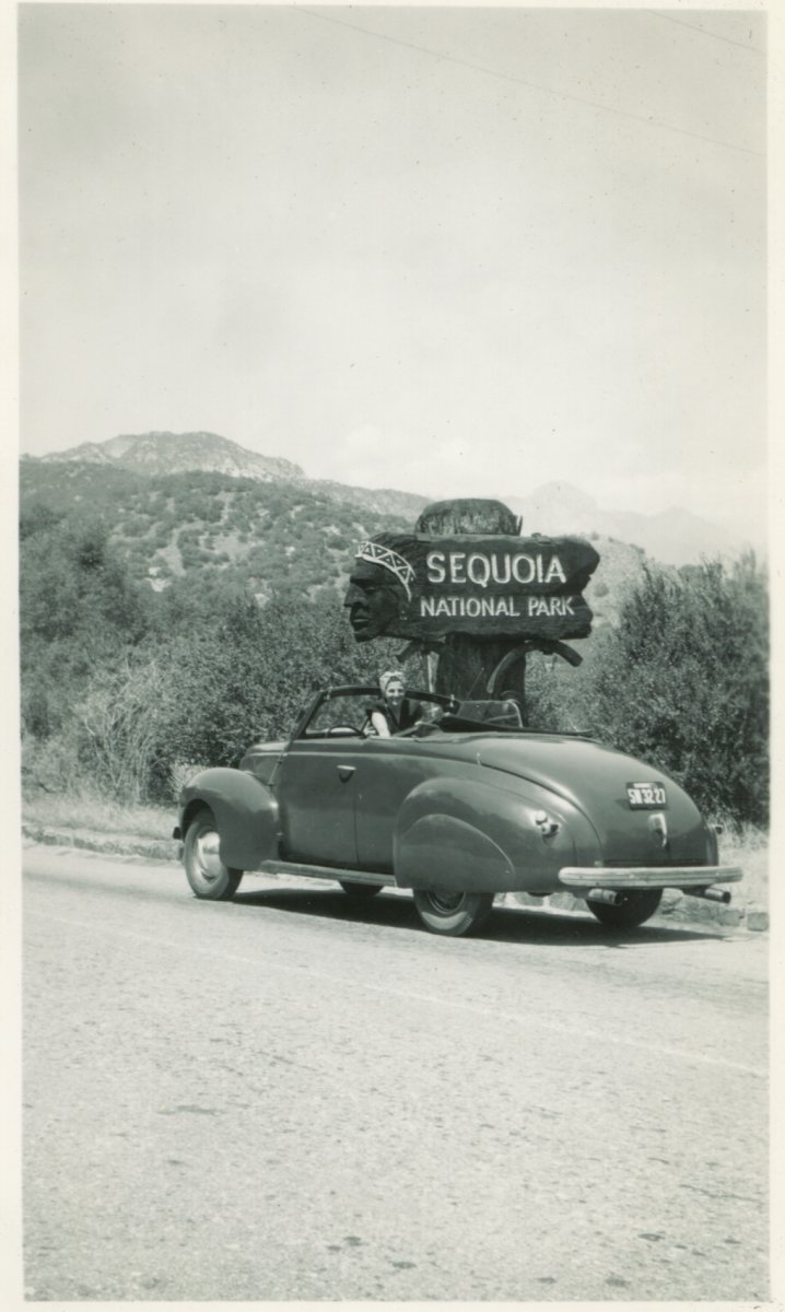 bobbies car-9.JPG