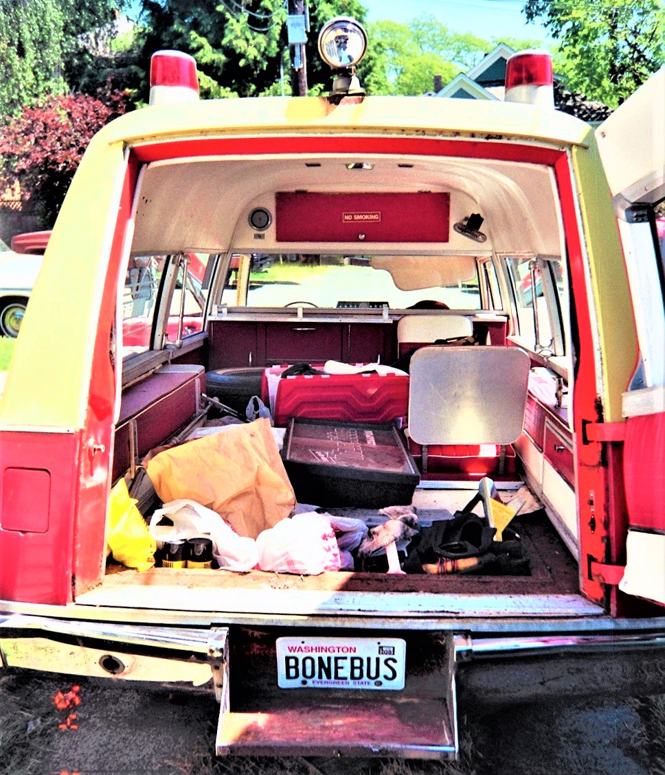 bone bus 2.jpg