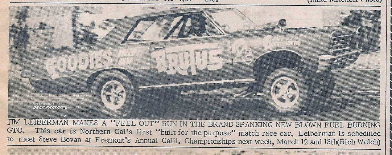 brutus 2.jpg