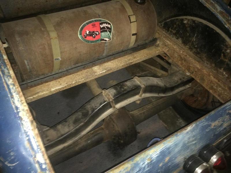 Bugsy Trunk.jpg