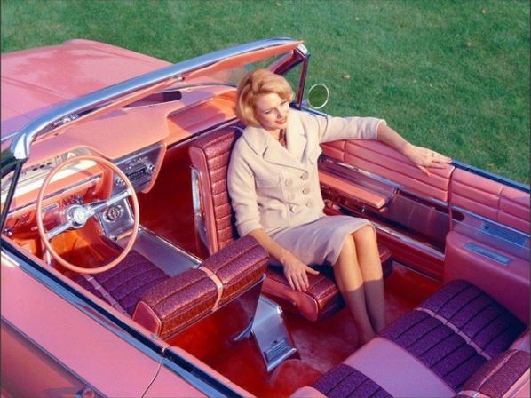 BuickFlamingo.JPG