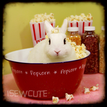 bunny popcorn.jpg