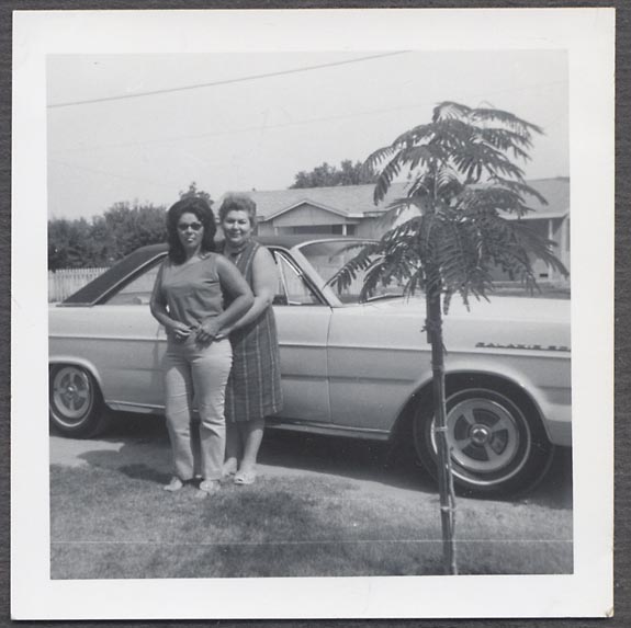 C06326.jpg