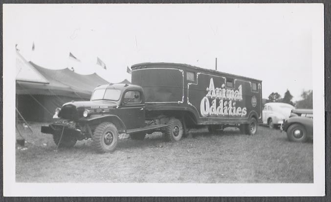 C08122.jpg
