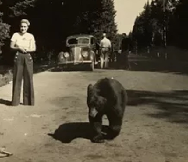 C256A017-5276-4C78-AE1C-15BB97AF4714.jpeg