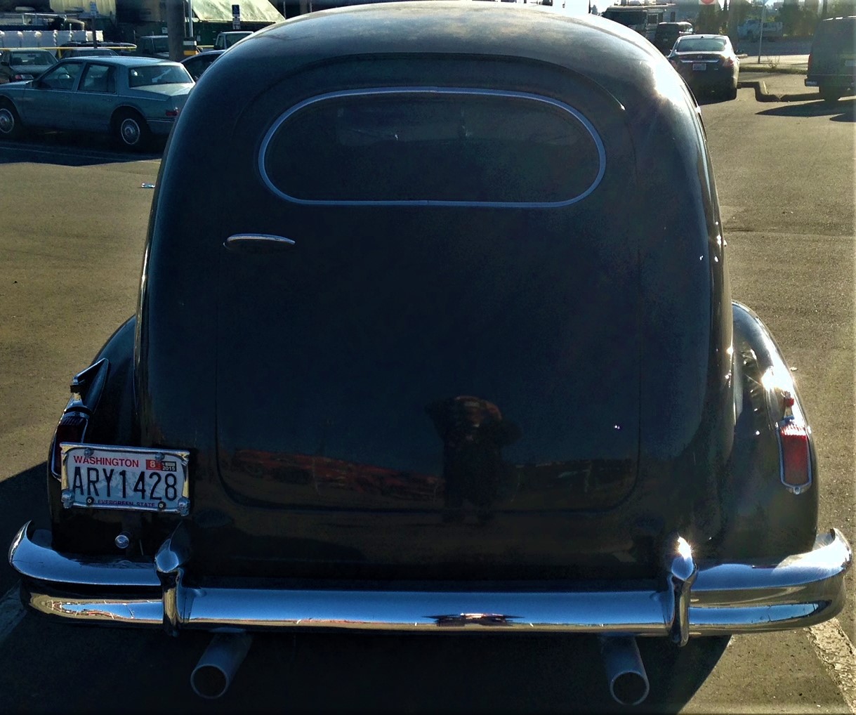 cad hearse 3.JPG