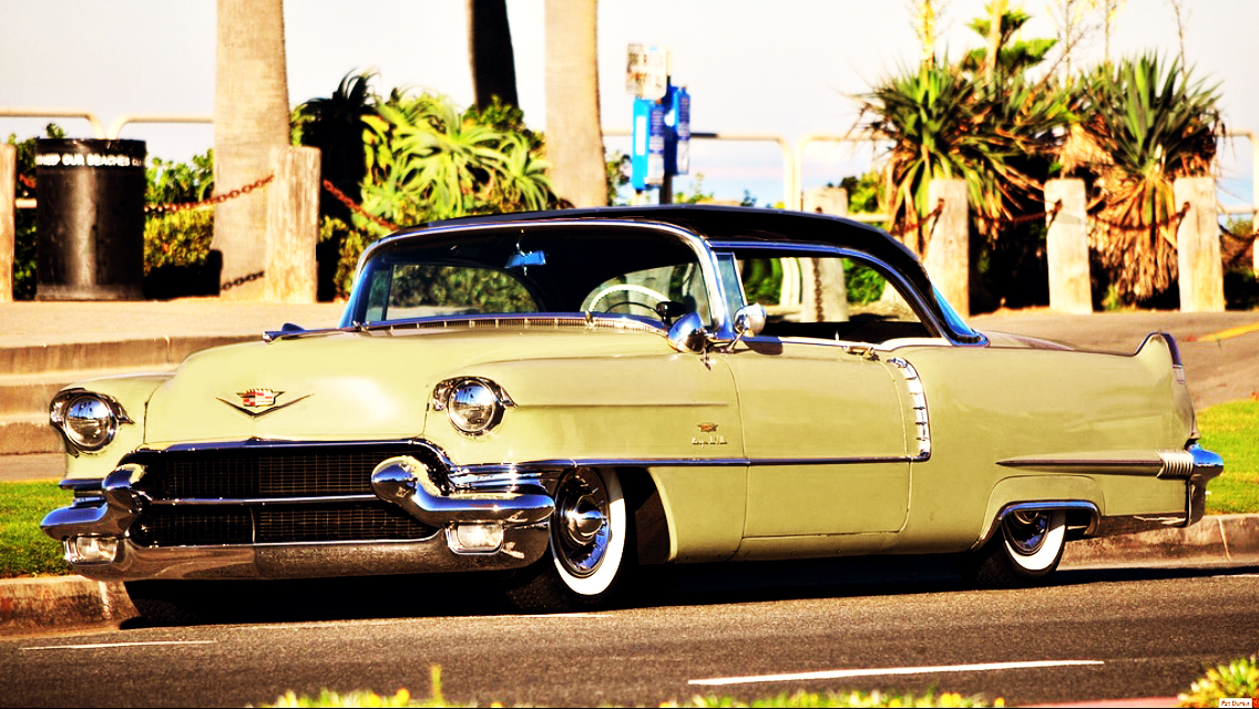 caddy.jpg