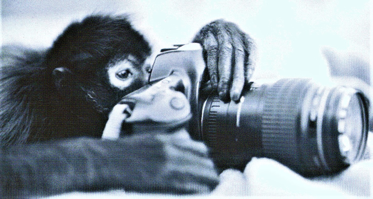 camera monkey (2).JPG