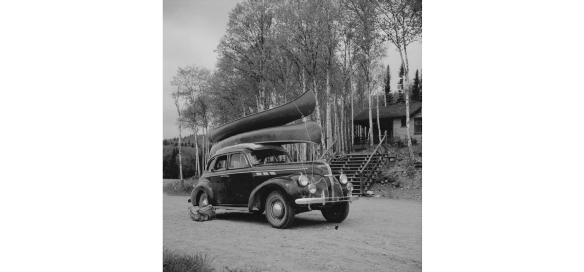 Cars-258 Canots.png