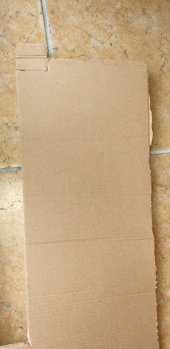 carton.jpg