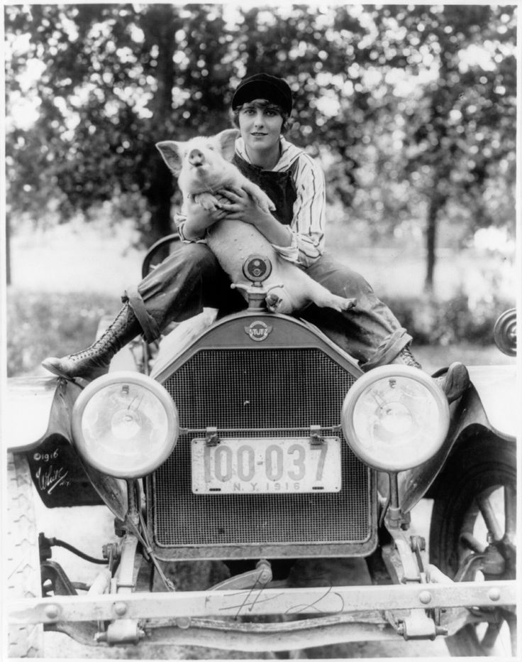 ce09b64a9221877172376d5c617cbe4b--pet-pigs-silent-film[1].jpg