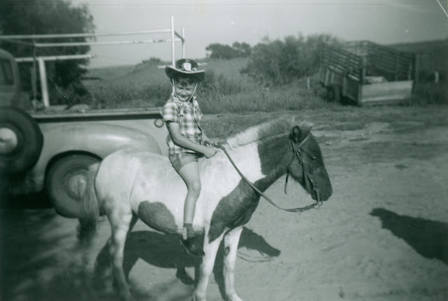 children-posing-on-a-horse-1.jpg