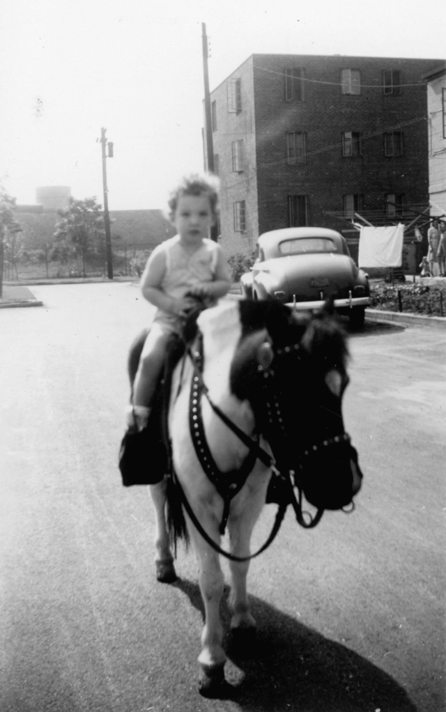 children-posing-on-a-horse-23.jpg