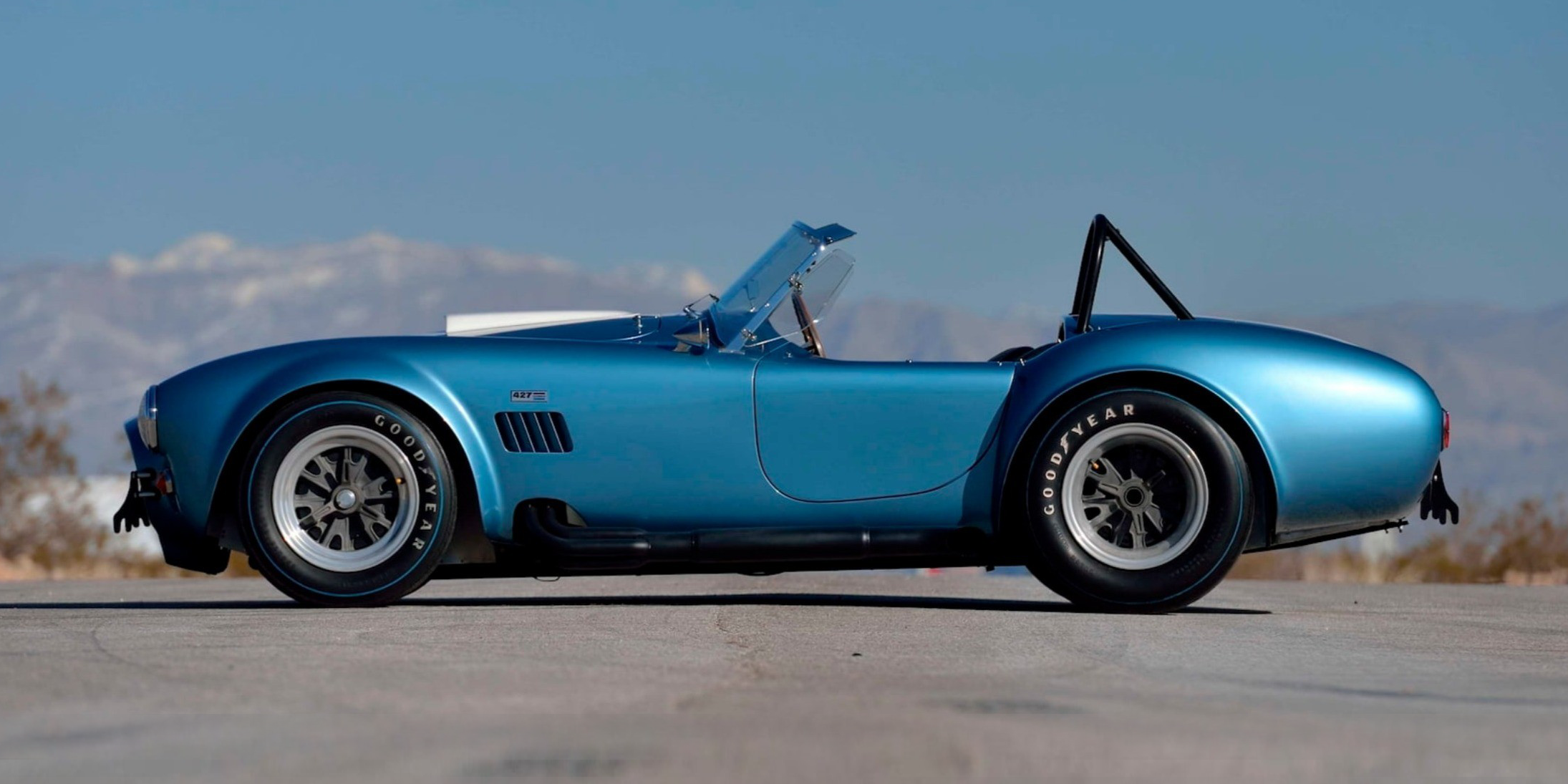 cobra 1 cropped.png