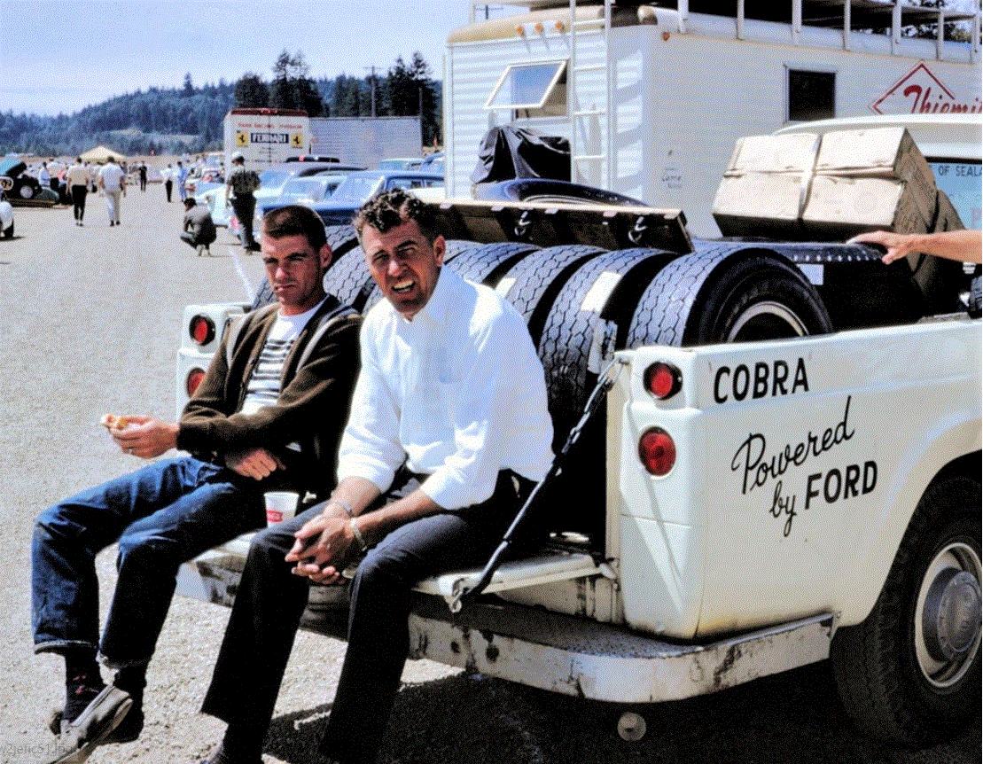 cobra.GIF