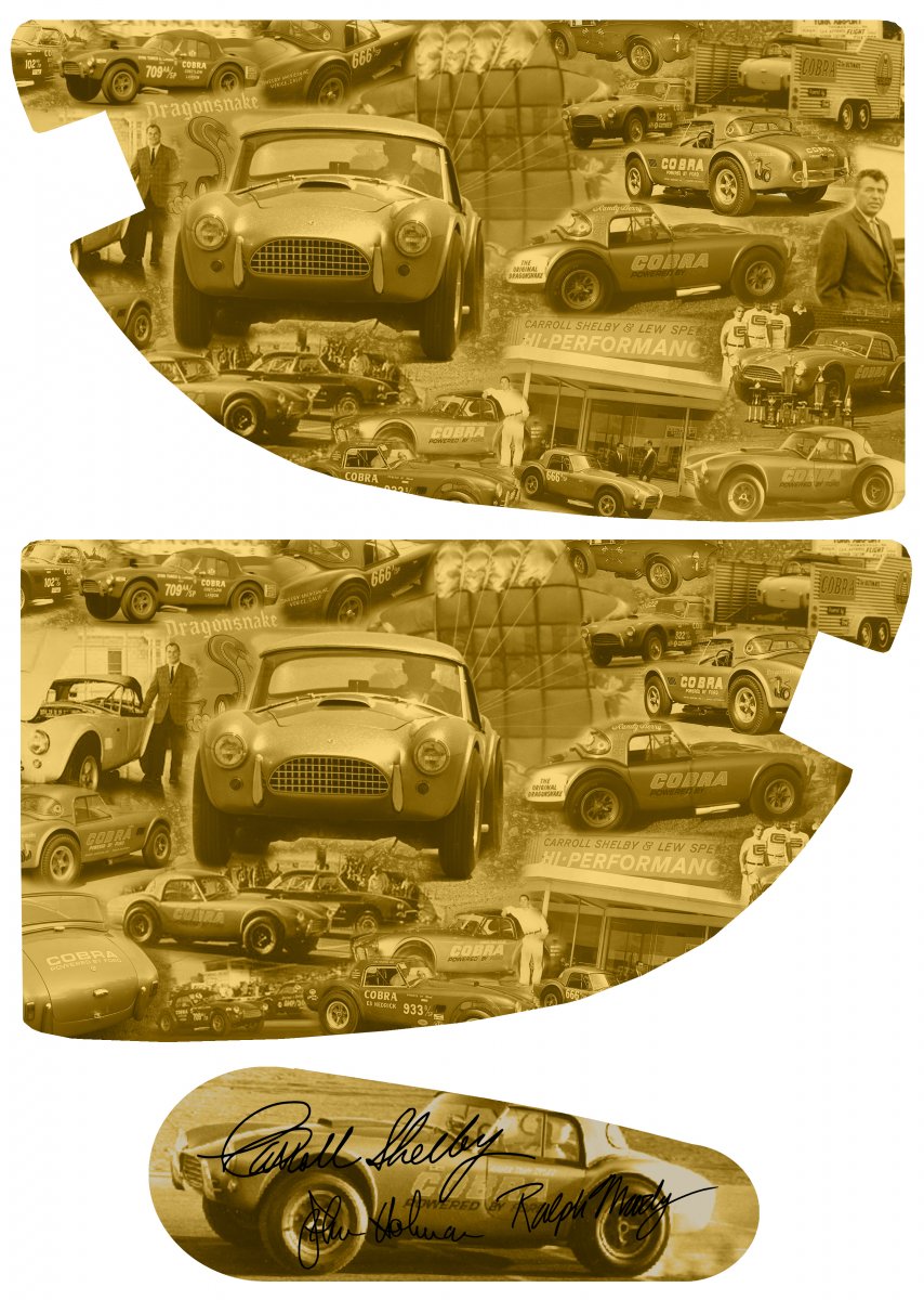 cobra panels2.jpg
