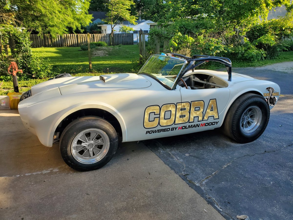 cobra very plain.jpg