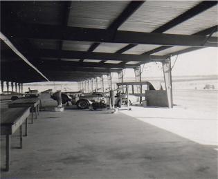 Cobraingaragea-315x259.jpg
