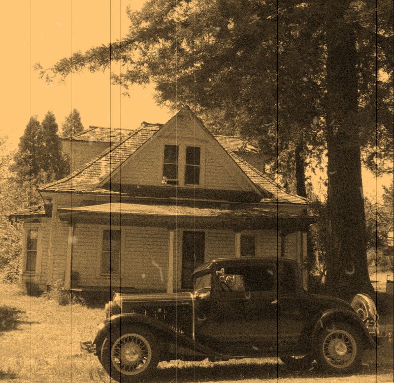 Copy of Picture 9551.jpg